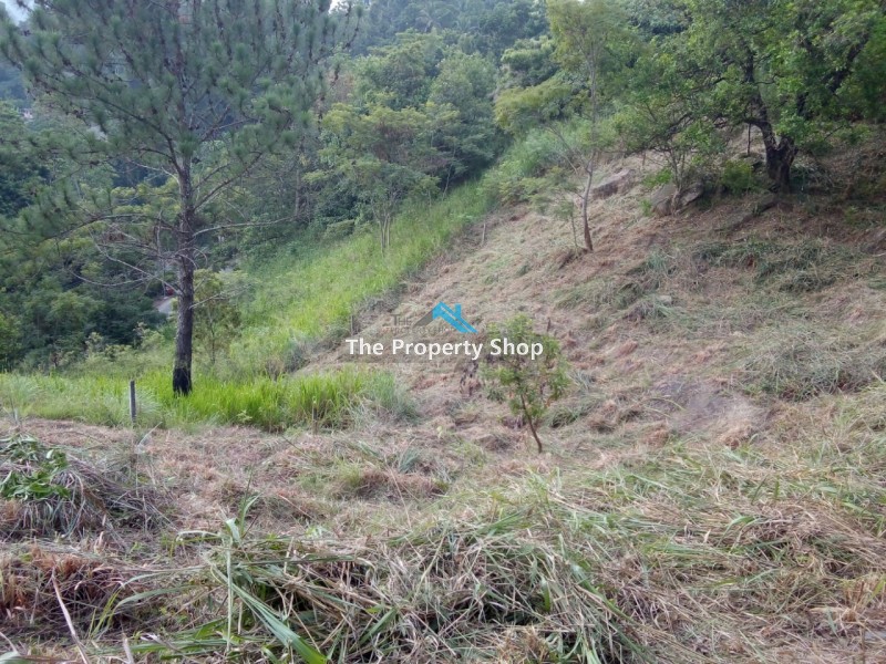 ull; 40.p Land in "peradeniya"mahakanda , Kandy.ull; Ideal for business purpose. (Guest House / Holiday Home).ull; Parking available for 3 vehicles in front space.ull; Excellent view of the mountain Rangeull; Water,Electricity,Telephone facilities are available.ull; Documents in orderull; Good neighbourhood.ull; Quiet natural surroundings.ull; Easy access to peradeniyaull; Taxi Stand, Shops, mini Supermarkets,Bank: 10 minutes.ull; Easy access to "peradeniya",only 10 minutes away.                                                                                        ull; City limit in just:         peradenya : 4Km                 To mahakanda town: 700mCall us for an appointment to visit the property.Please contact us for more Details: Hotline - 0815662566 / 0777 507 501                                       Genuine buyers only.NO BROKERS PLEASE..Visit our website for more properties.